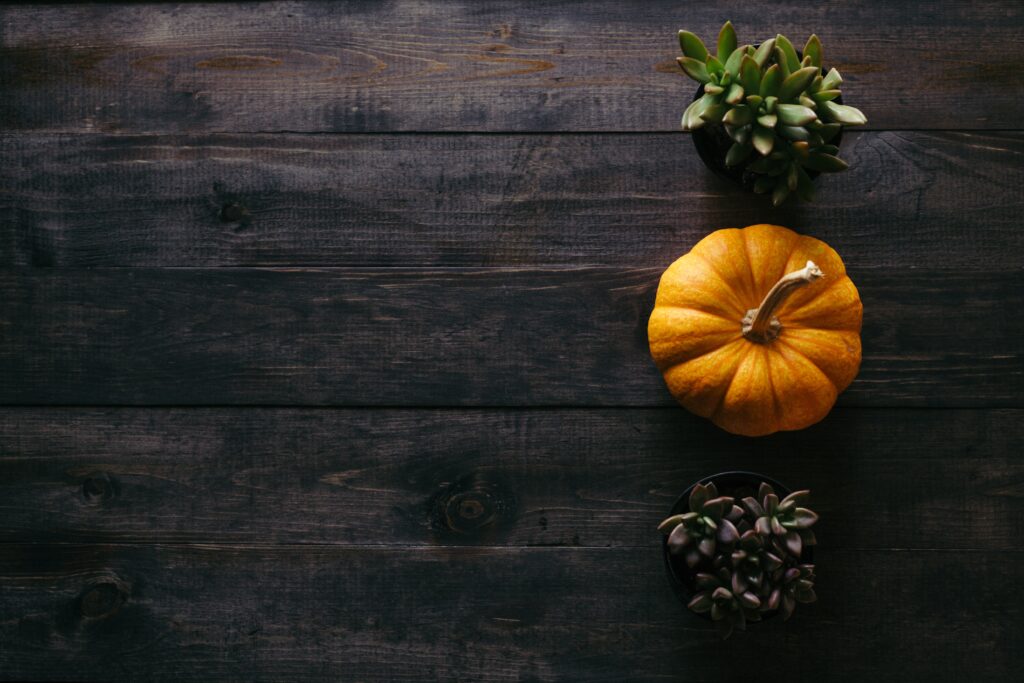 What to do with Thanksgiving leftovers: creative ideas to use all the food